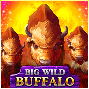 Big Wild Buffals slot machine
